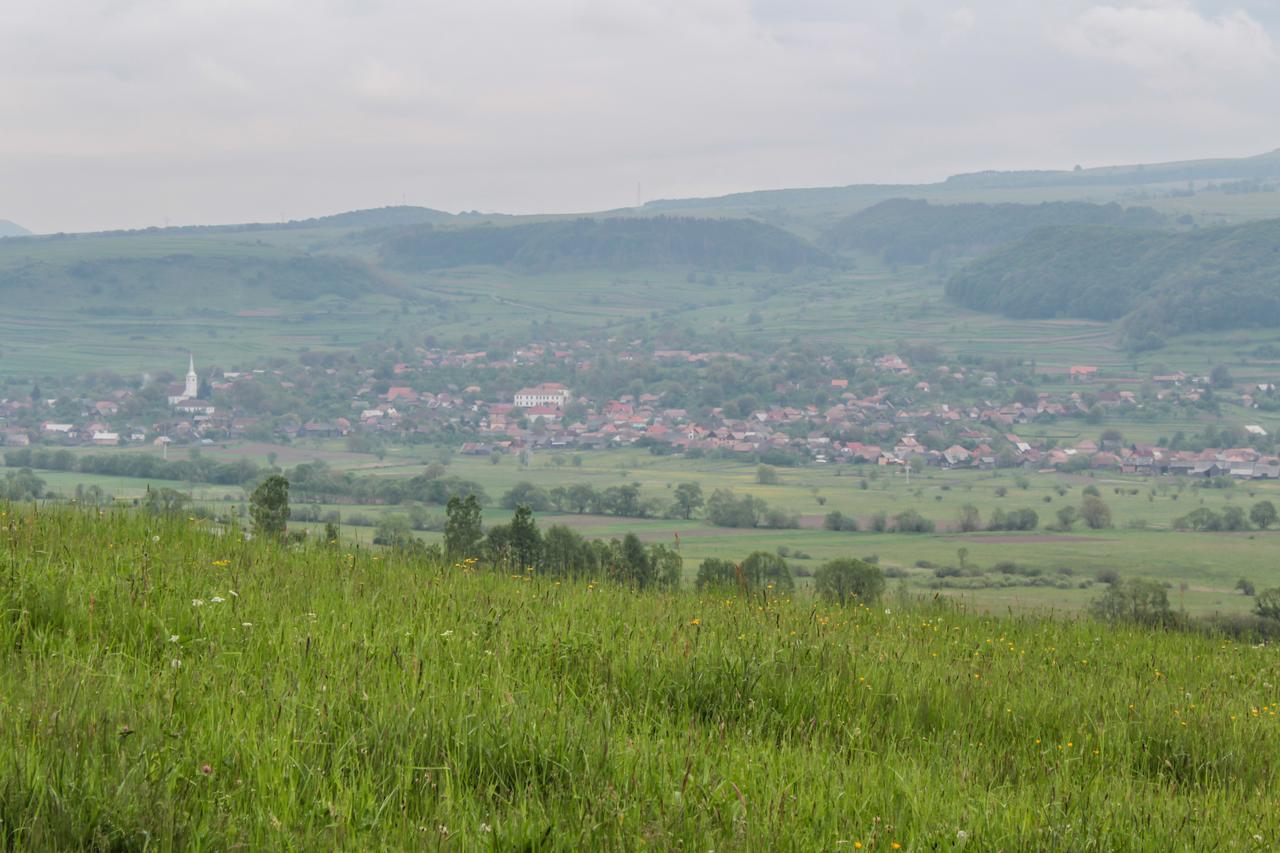 Manó Kulcsosházak Praid Exterior foto